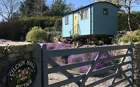 Shepherds Hut In The Hills - Nr. Mold